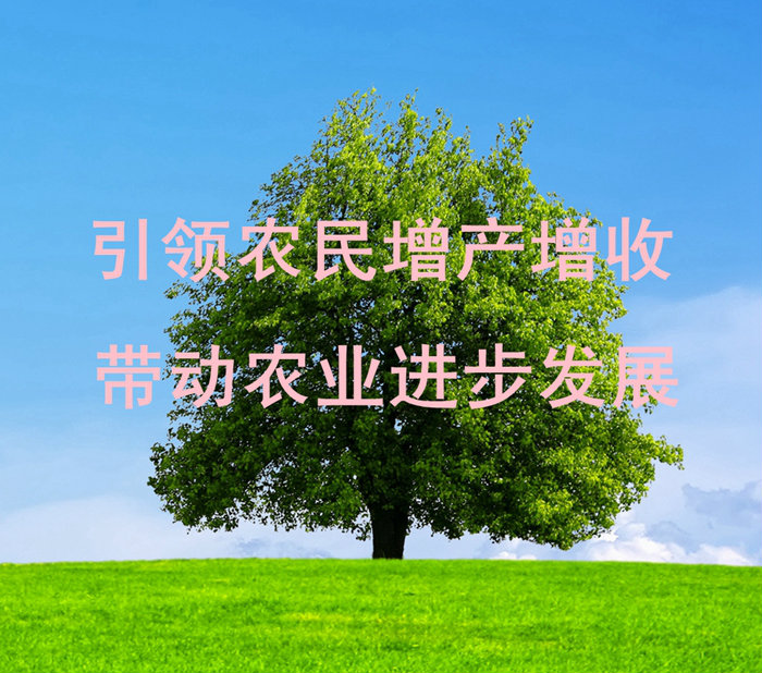 企业价值观