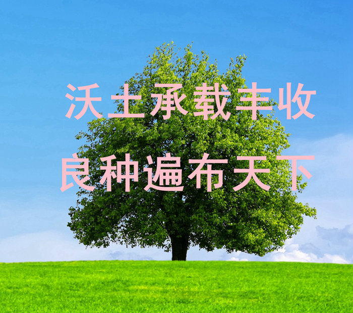 企业目标